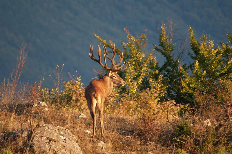 Equinozio d''autunno